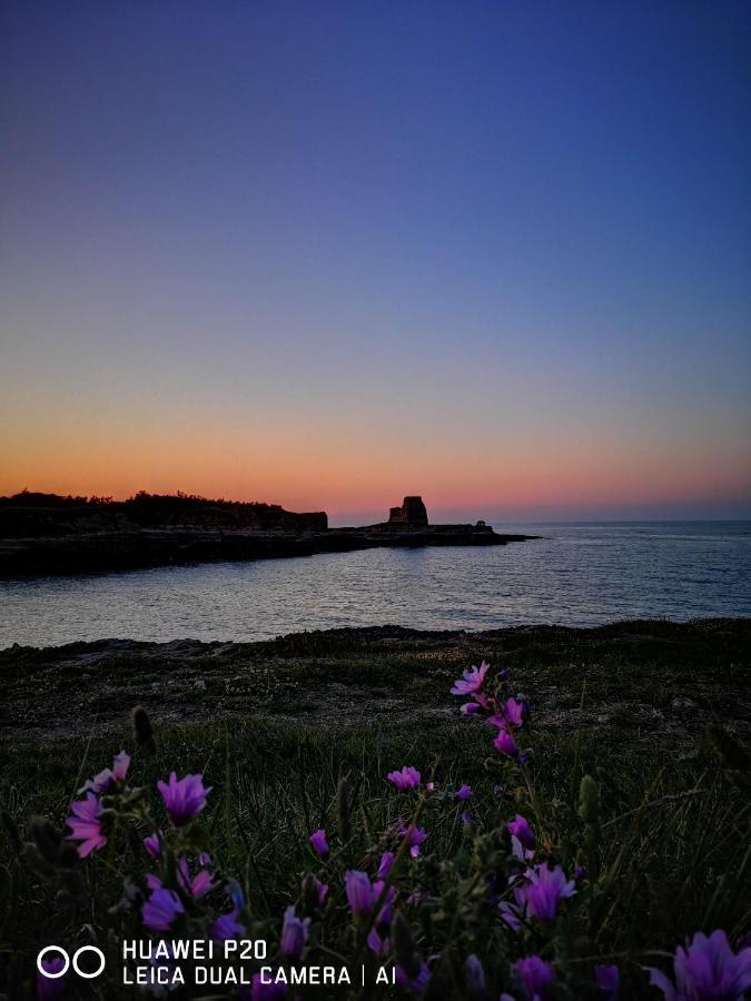 Eccelsoleccese Bed and Breakfast Εξωτερικό φωτογραφία